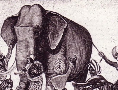 Los 6 sabios ciegos y el elefante