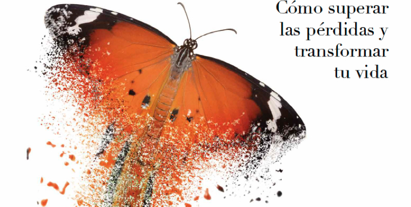 Imagen pérdida portada